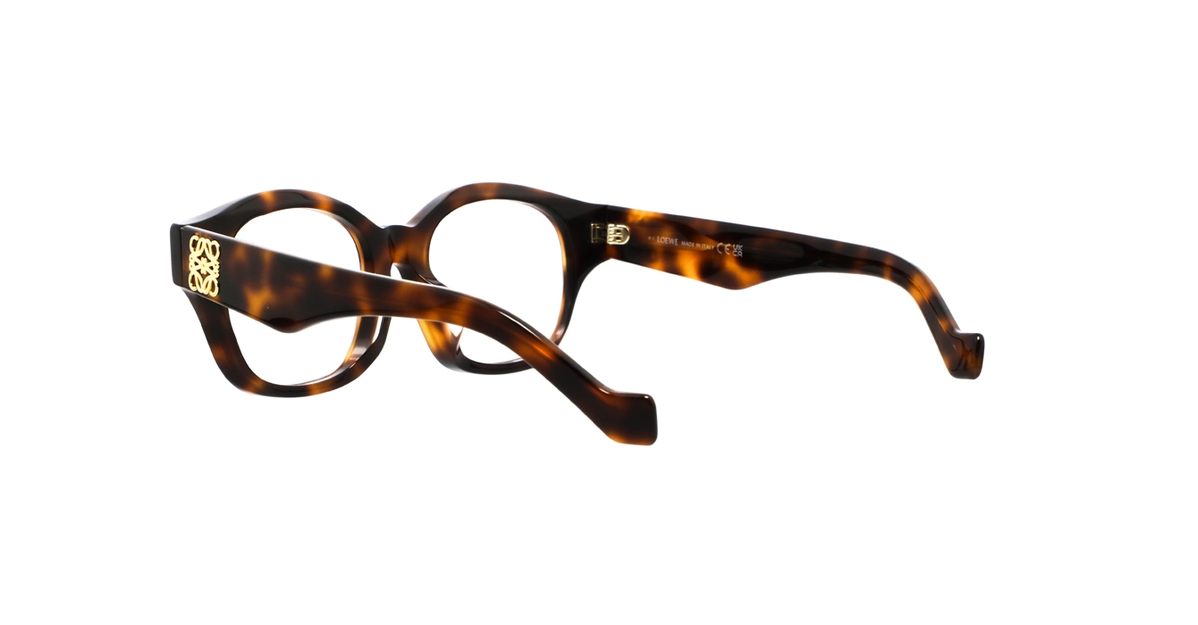 Loewe LW50096F 052 s50