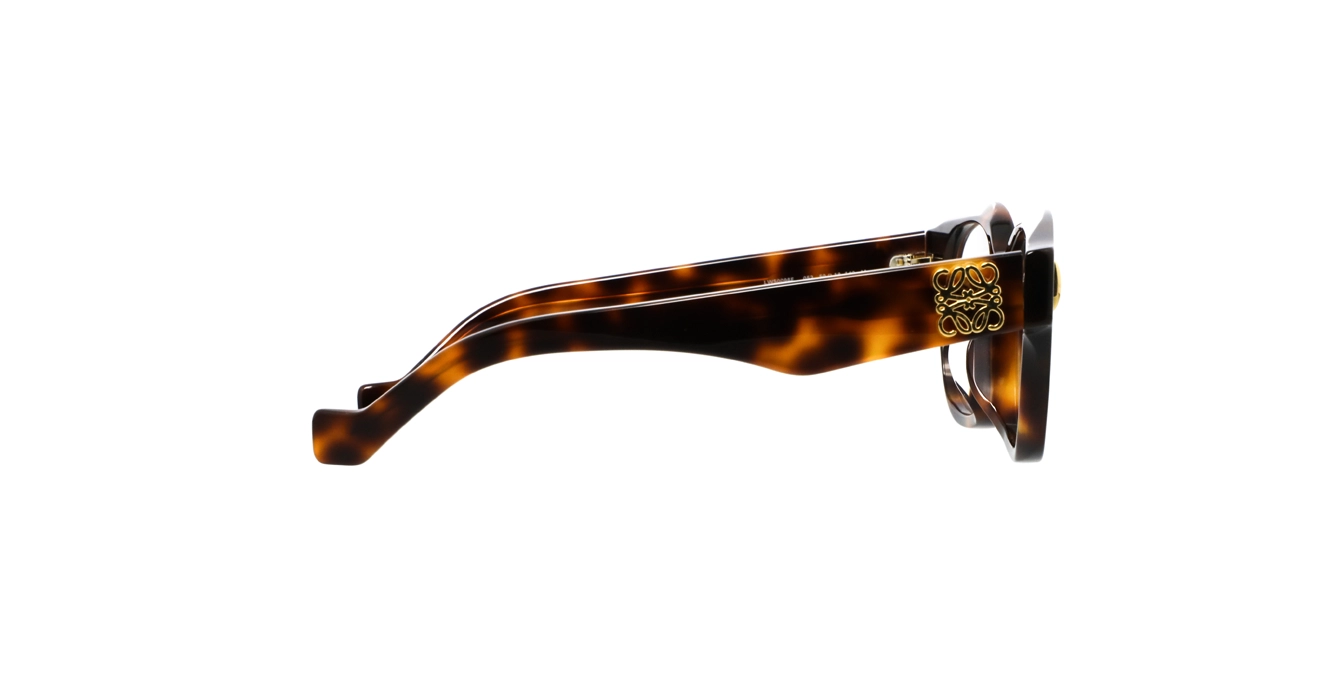 Loewe LW50096F 052 s50