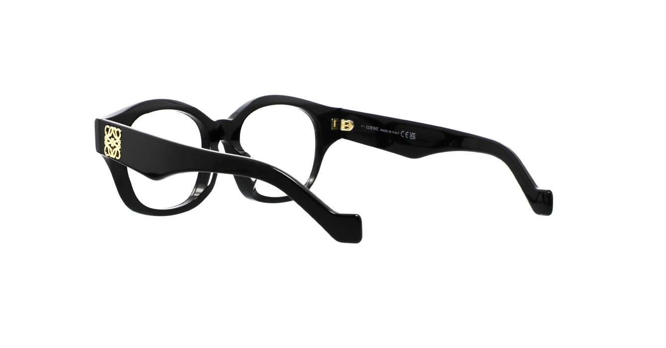 Loewe LW50096F 001 s50