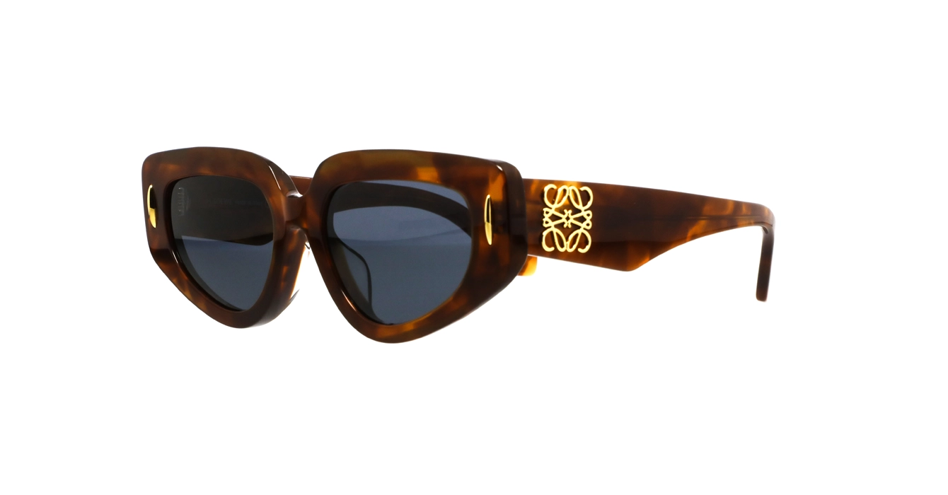 Loewe LW40160F 53V s53