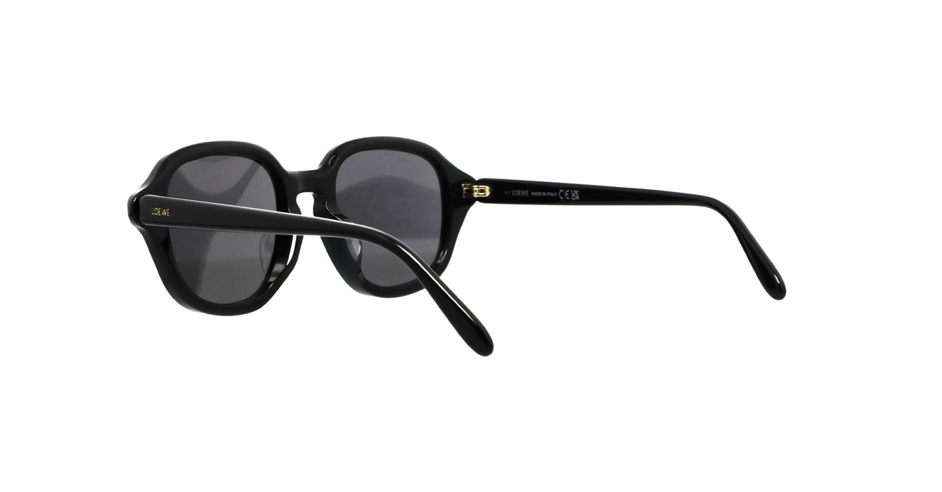 Loewe LW40163F 01A s51