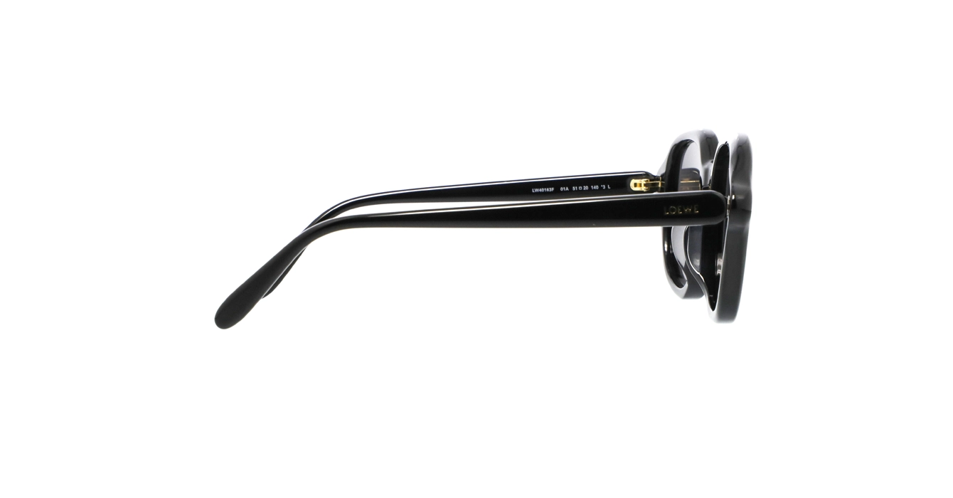 Loewe LW40163F 01A s51