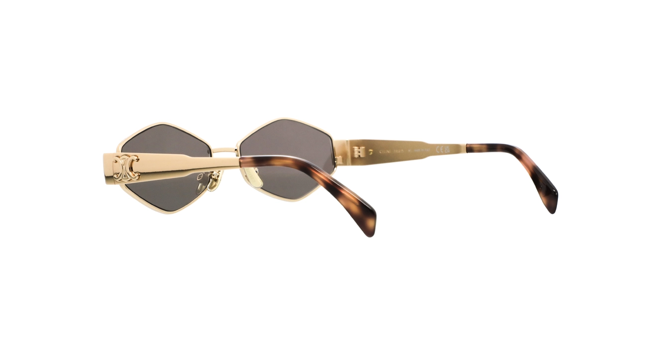 Celine CL40254U 28A s54