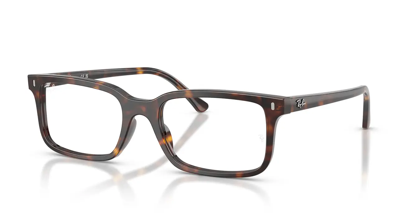 Ray-Ban RB5445F 2012 s54