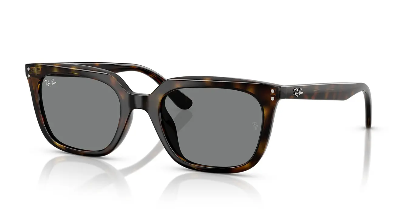 Ray-Ban RB4439D 710/87 s54