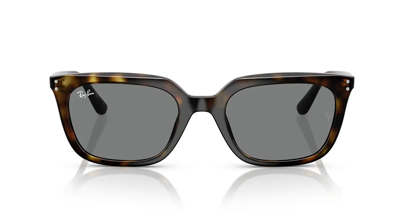 Ray-Ban RB4439D 710/87 s54