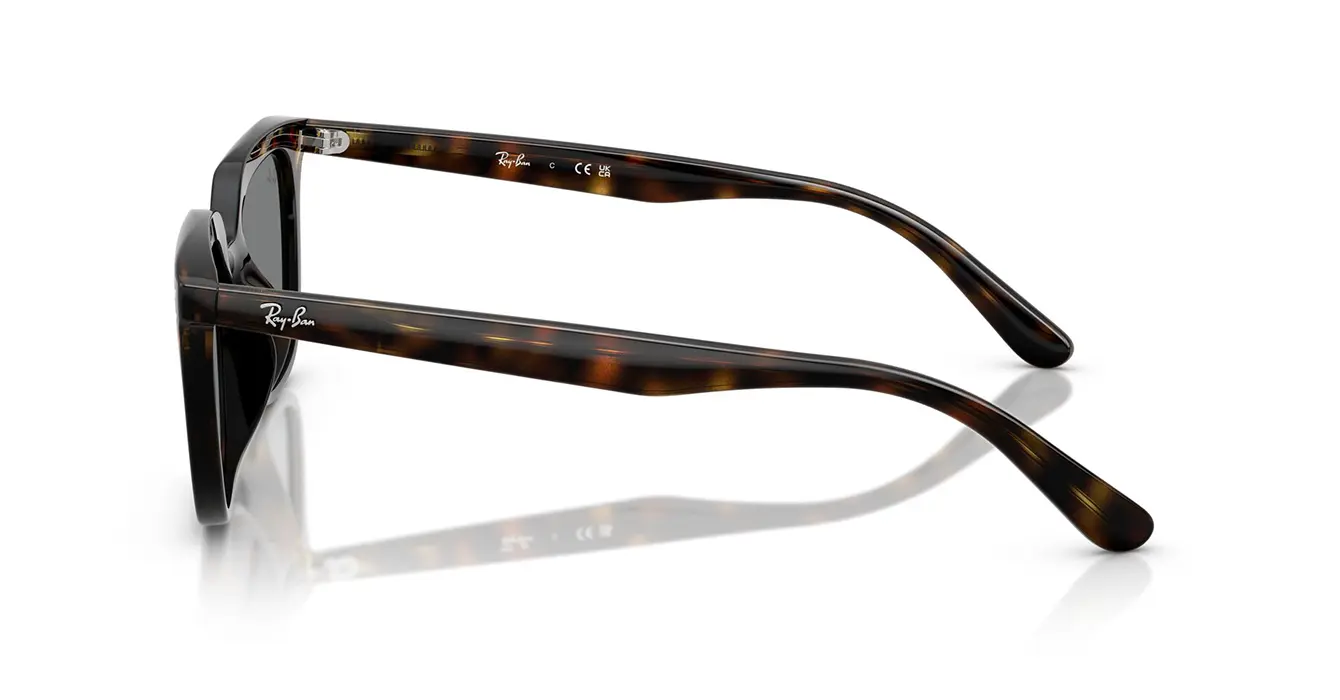 Ray-Ban RB4439D 710/87 s54