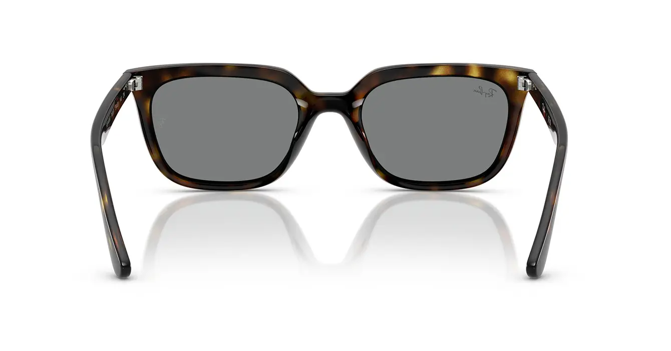 Ray-Ban RB4439D 710/87 s54