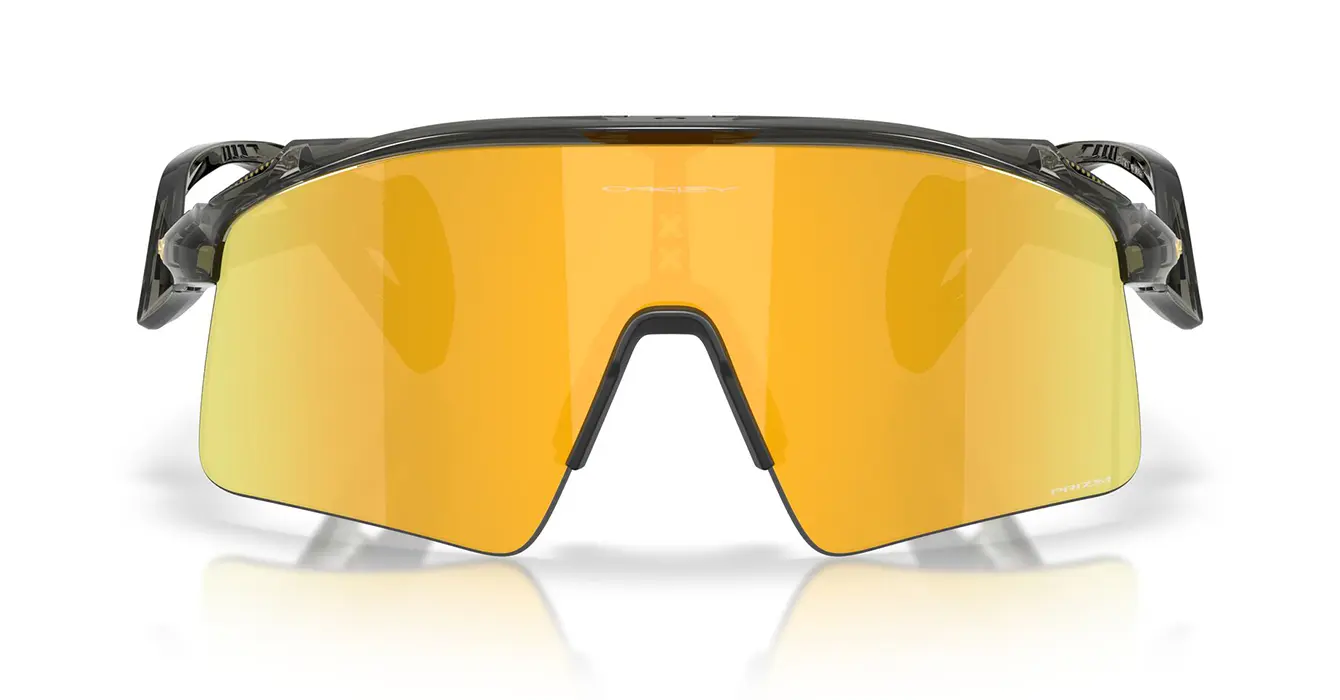 Oakley Stunt Wing Grey Smoke W/ Prizm 24K (OO9519-02) s41