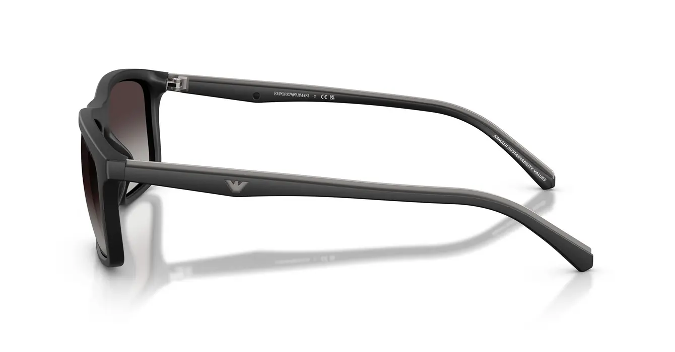 Emporio Armani EA4257U 5001/8G s57