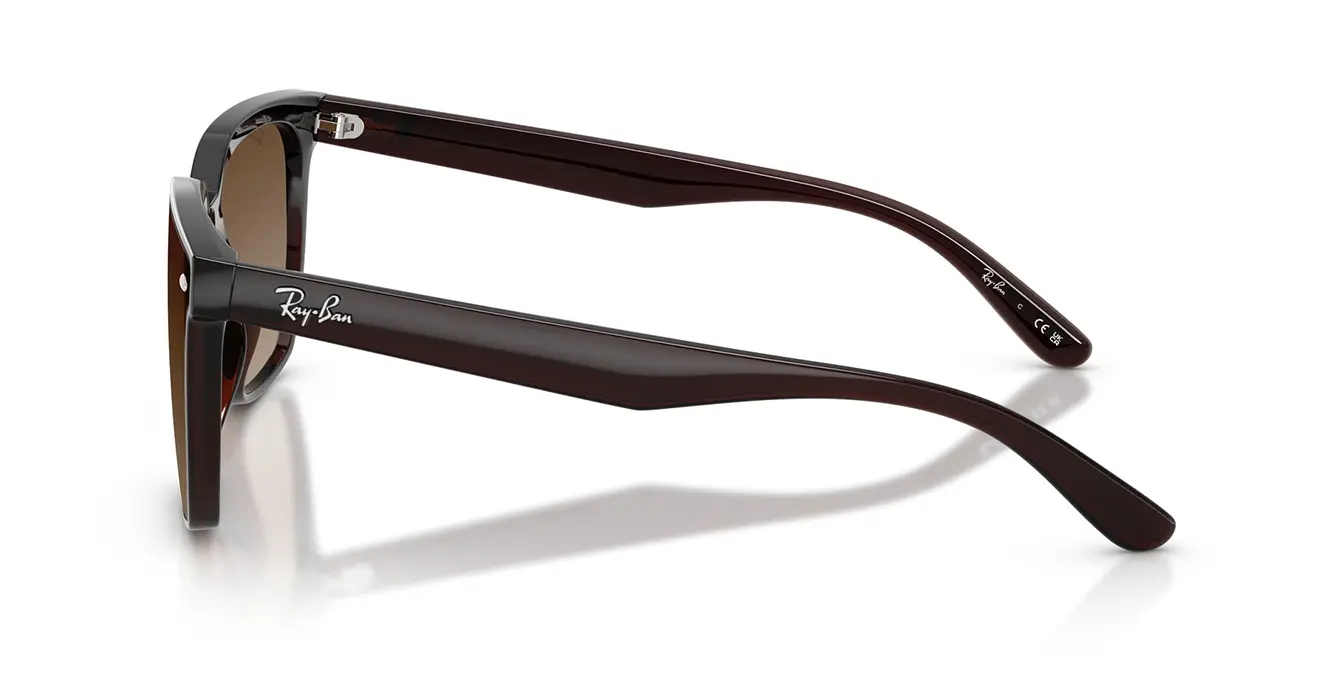 Ray-Ban RB4466D 714/13 s47