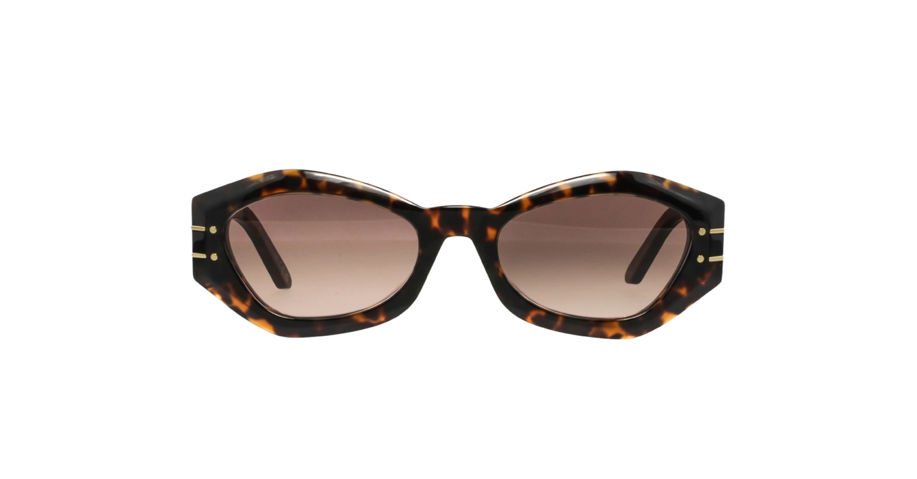 Dior Signature B1U CD40139U 24F1 s55