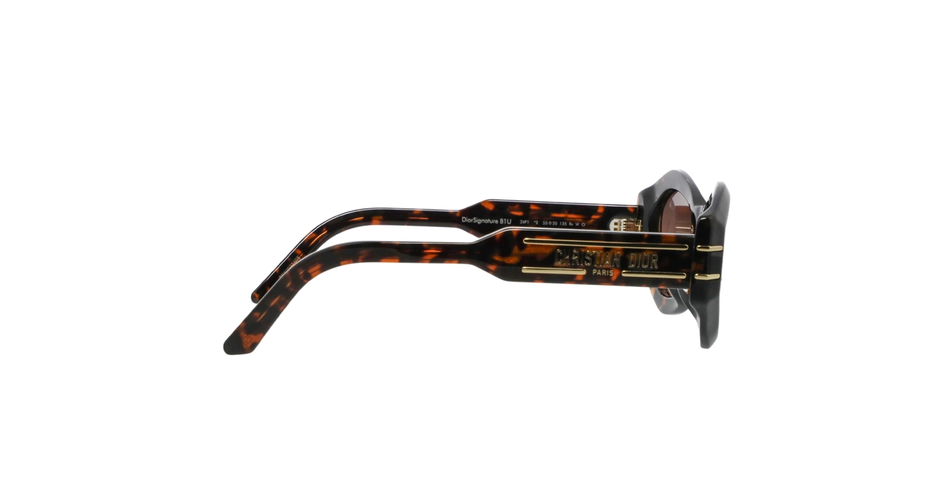 Dior Signature B1U CD40139U 24F1 s55