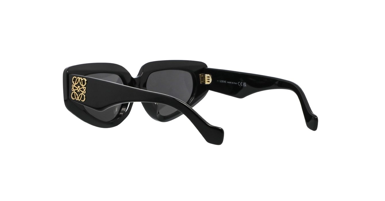 Loewe LW40160F 01A s53