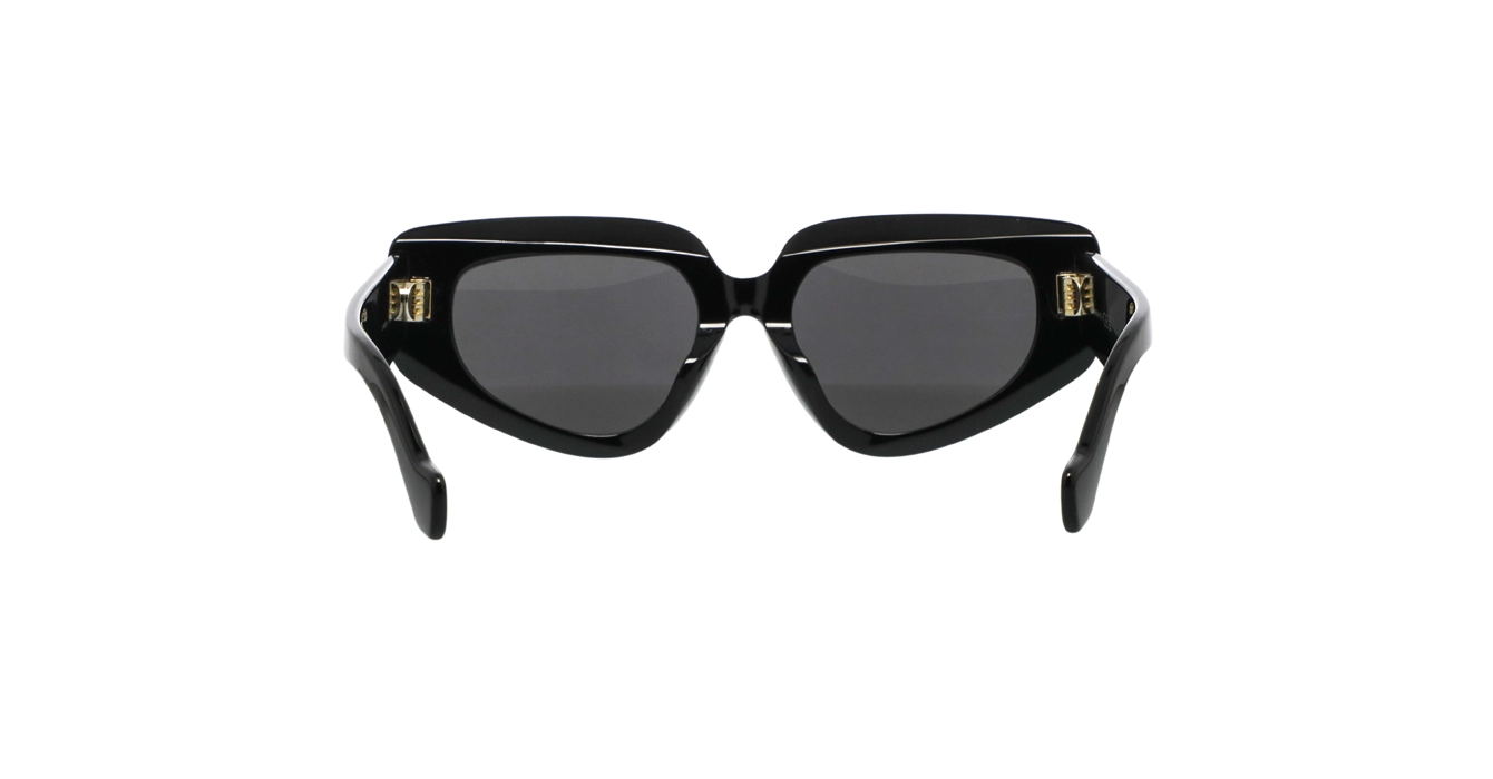 Loewe LW40160F 01A s53