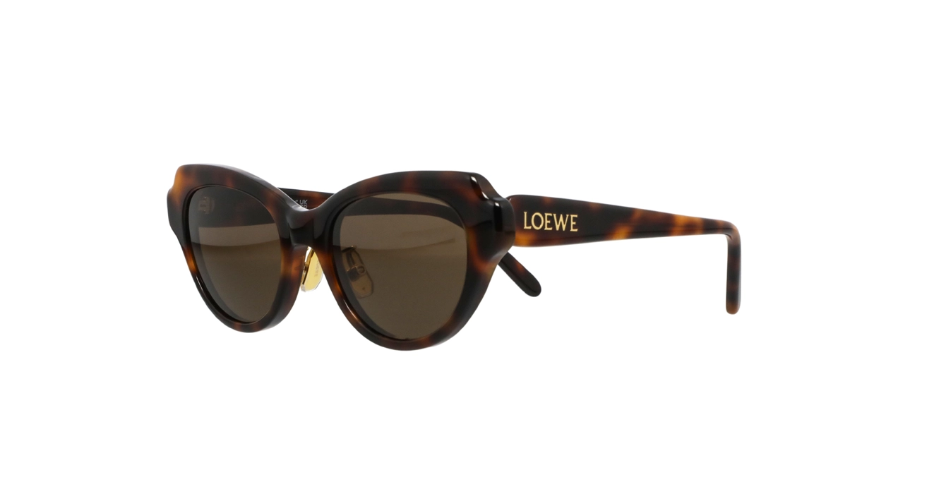 Loewe LW40178F 52E s53