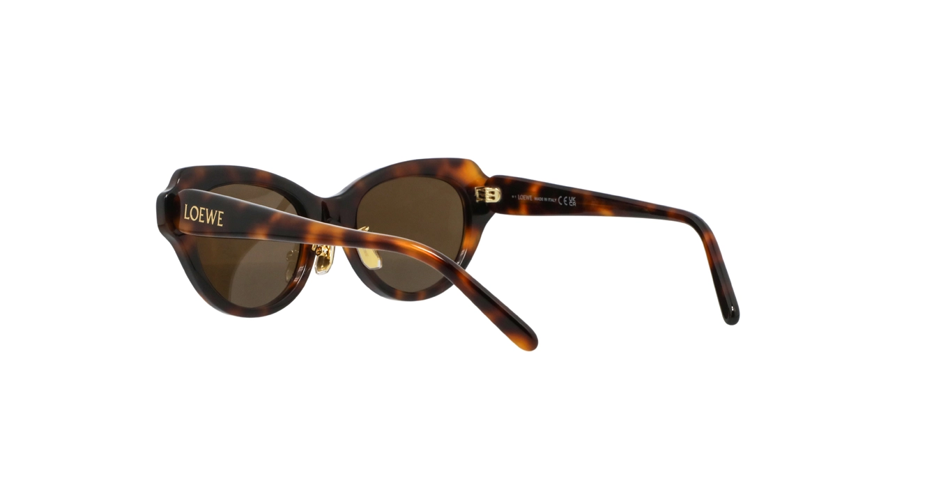 Loewe LW40178F 52E s53