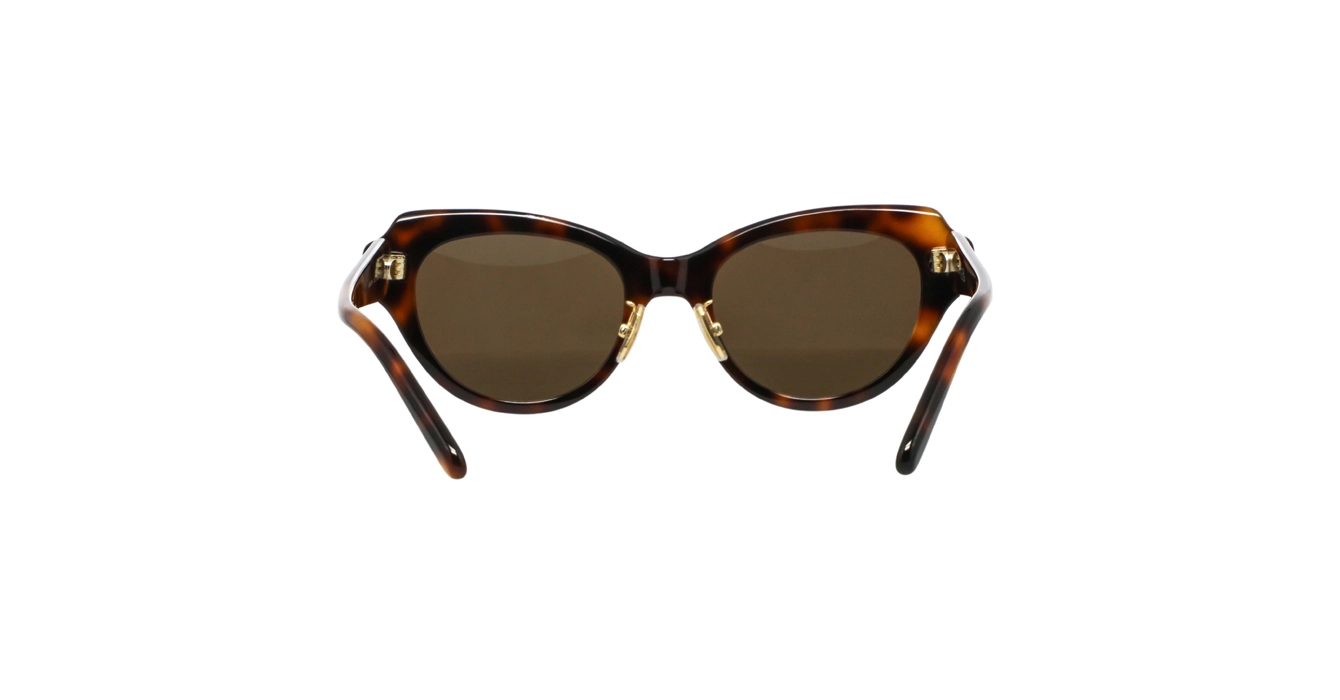 Loewe LW40178F 52E s53