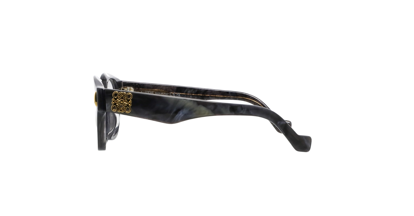 Loewe LW50096F 063 s50