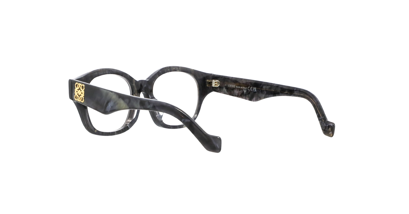 Loewe LW50096F 063 s50