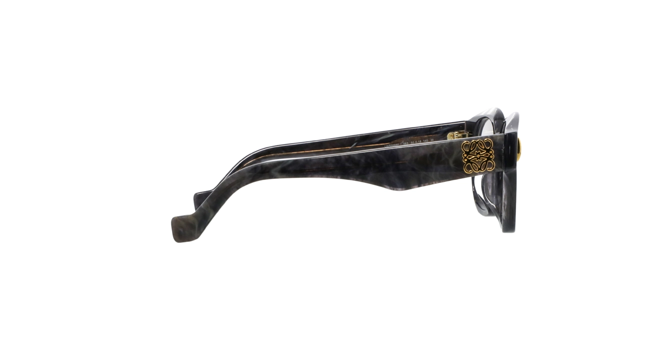 Loewe LW50096F 063 s50