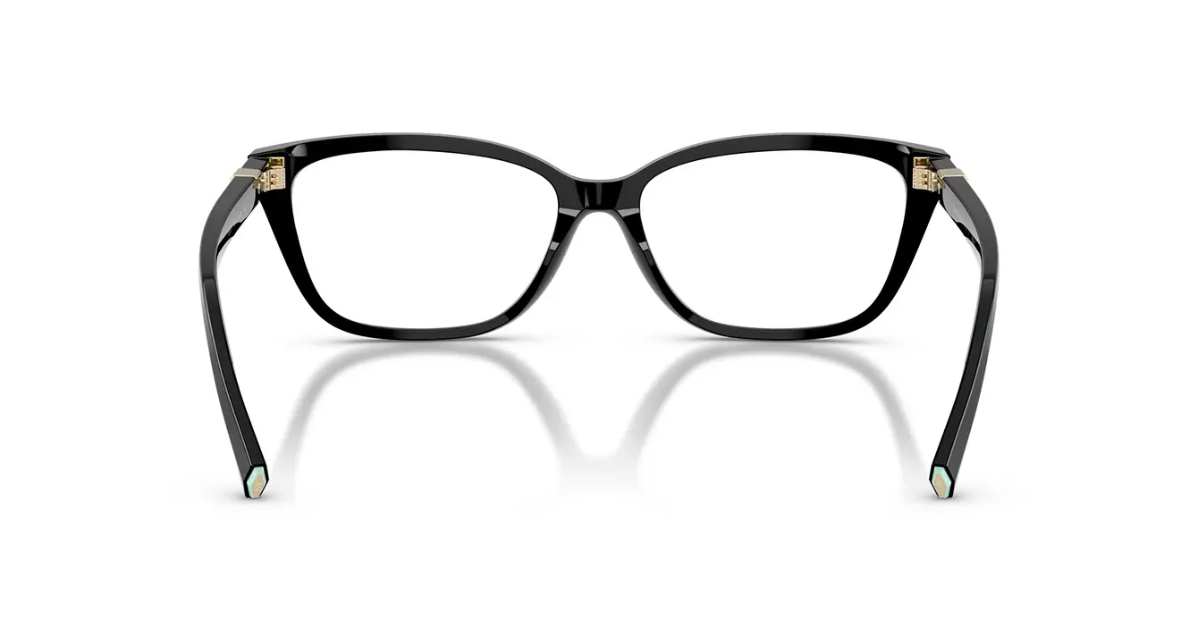 Tiffany&co TF2282-F 8001 s53