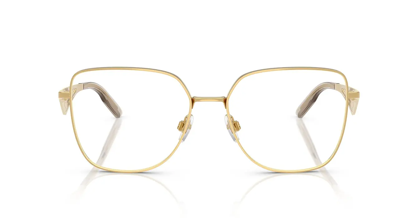 Dolce & Gabanna 1358 02 s56