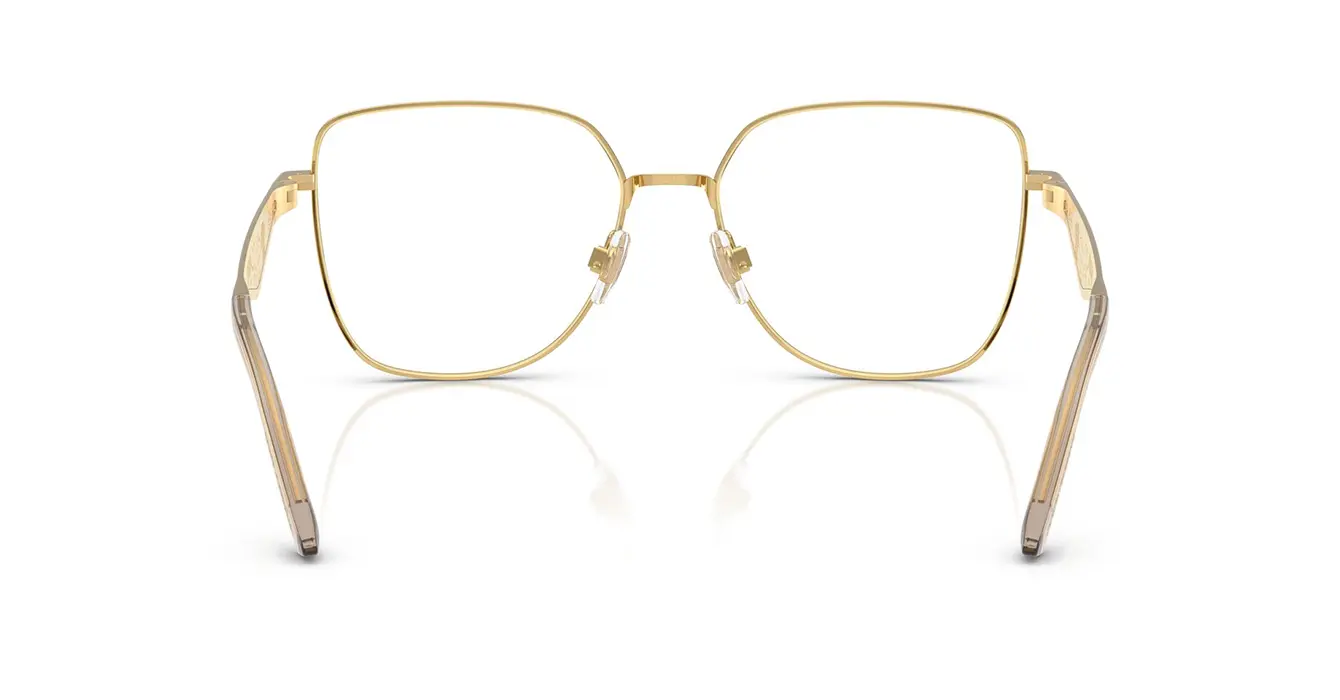 Dolce & Gabanna 1358 02 s56
