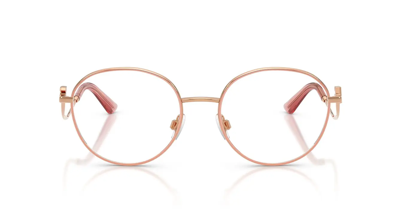 Dolce & Gabanna 1365 1369 s53
