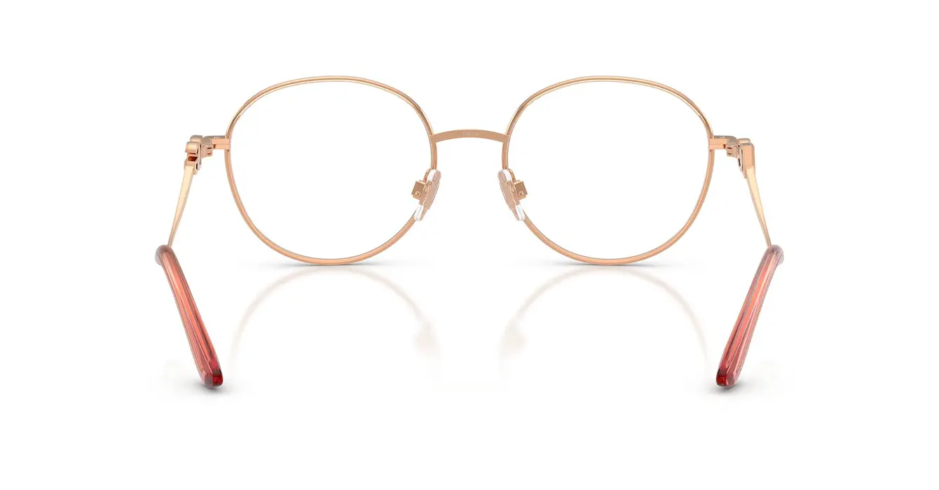 Dolce & Gabanna 1365 1369 s53