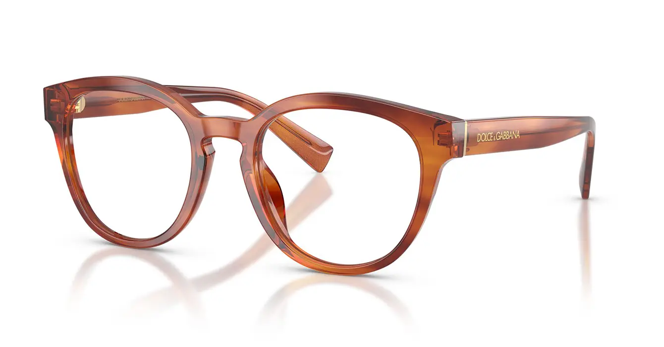 Dolce & Gabanna 3421 3221 s52
