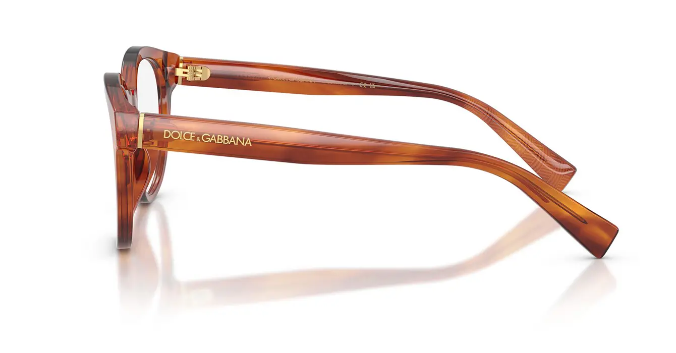 Dolce & Gabanna 3421 3221 s52