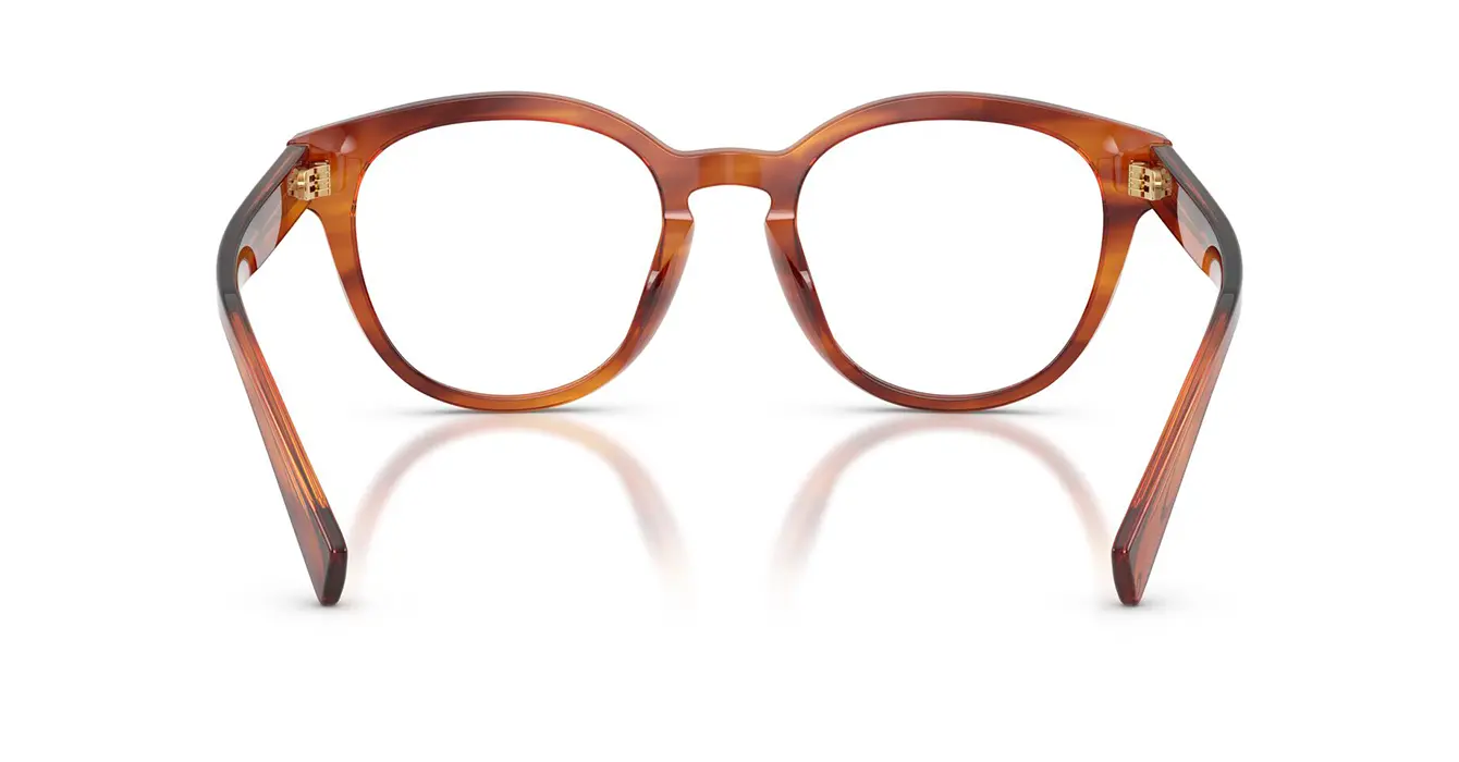 Dolce & Gabanna 3421 3221 s52