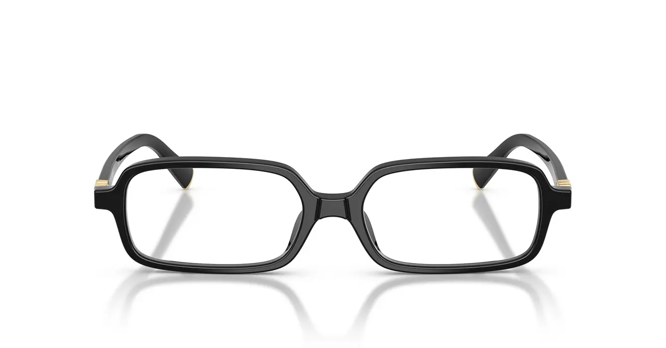 Miu Miu VMU01Y-F 16K-1O1 s53
