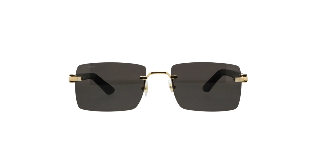 Cartier CT0579S 005 s57
