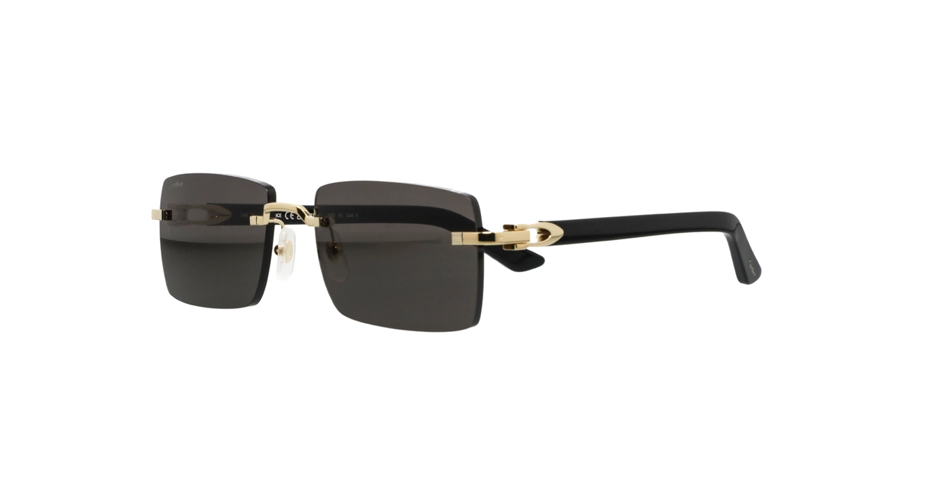 Cartier CT0579S 005 s57