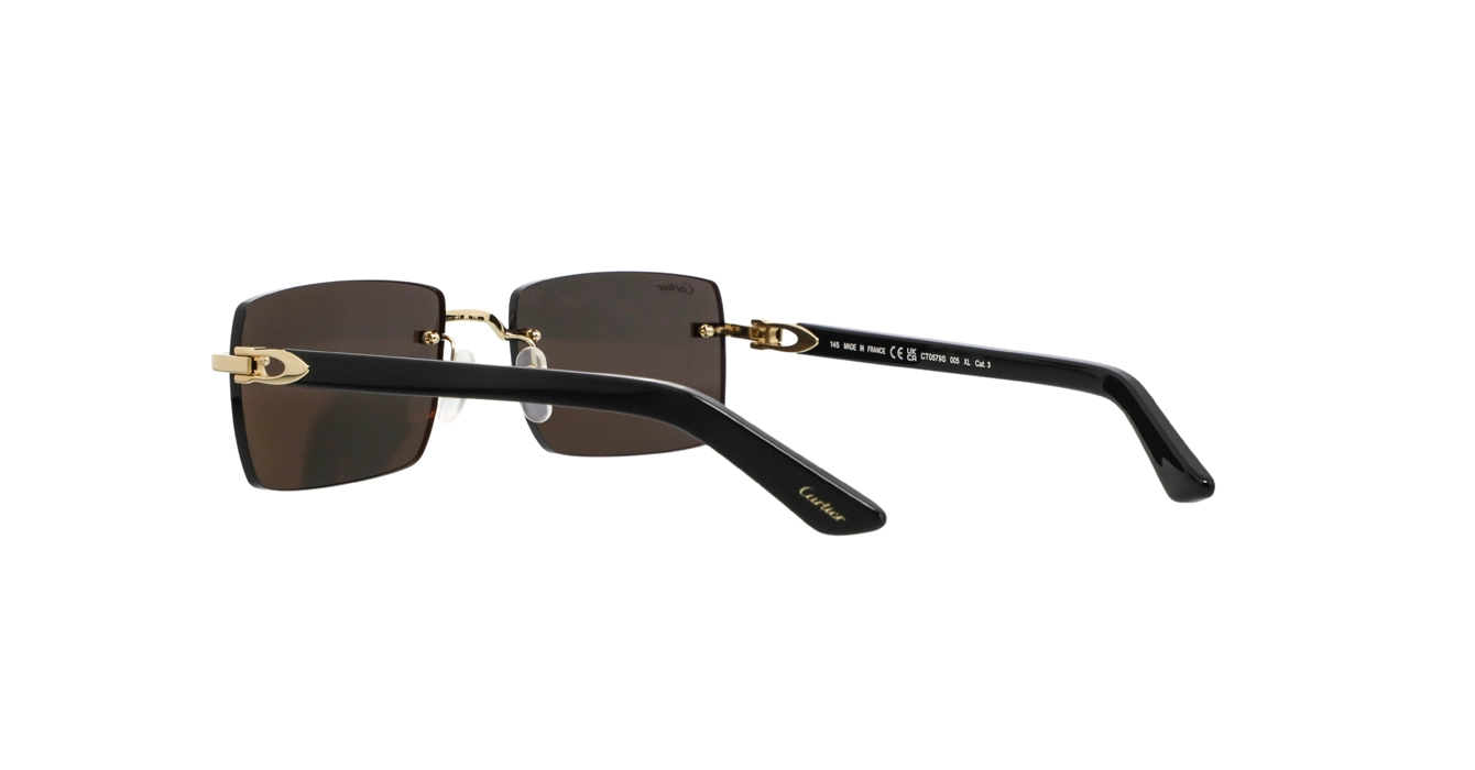 Cartier CT0579S 005 s57