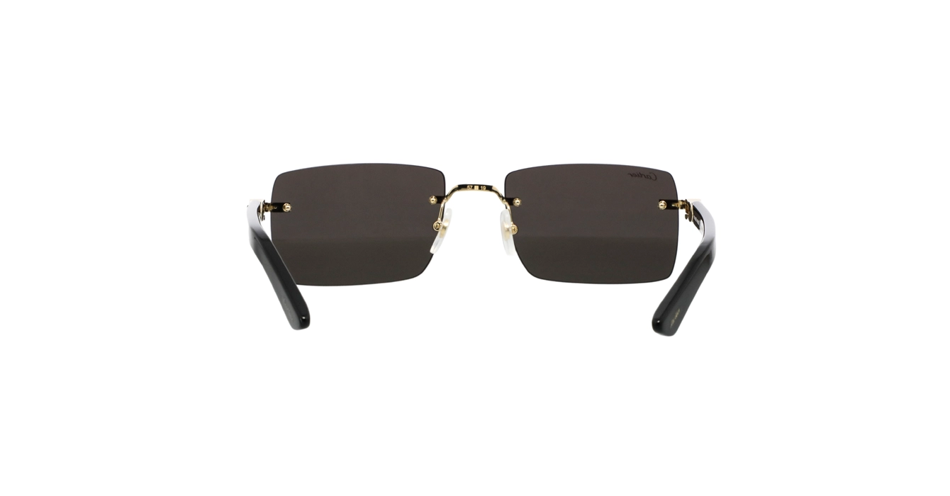 Cartier CT0579S 005 s57