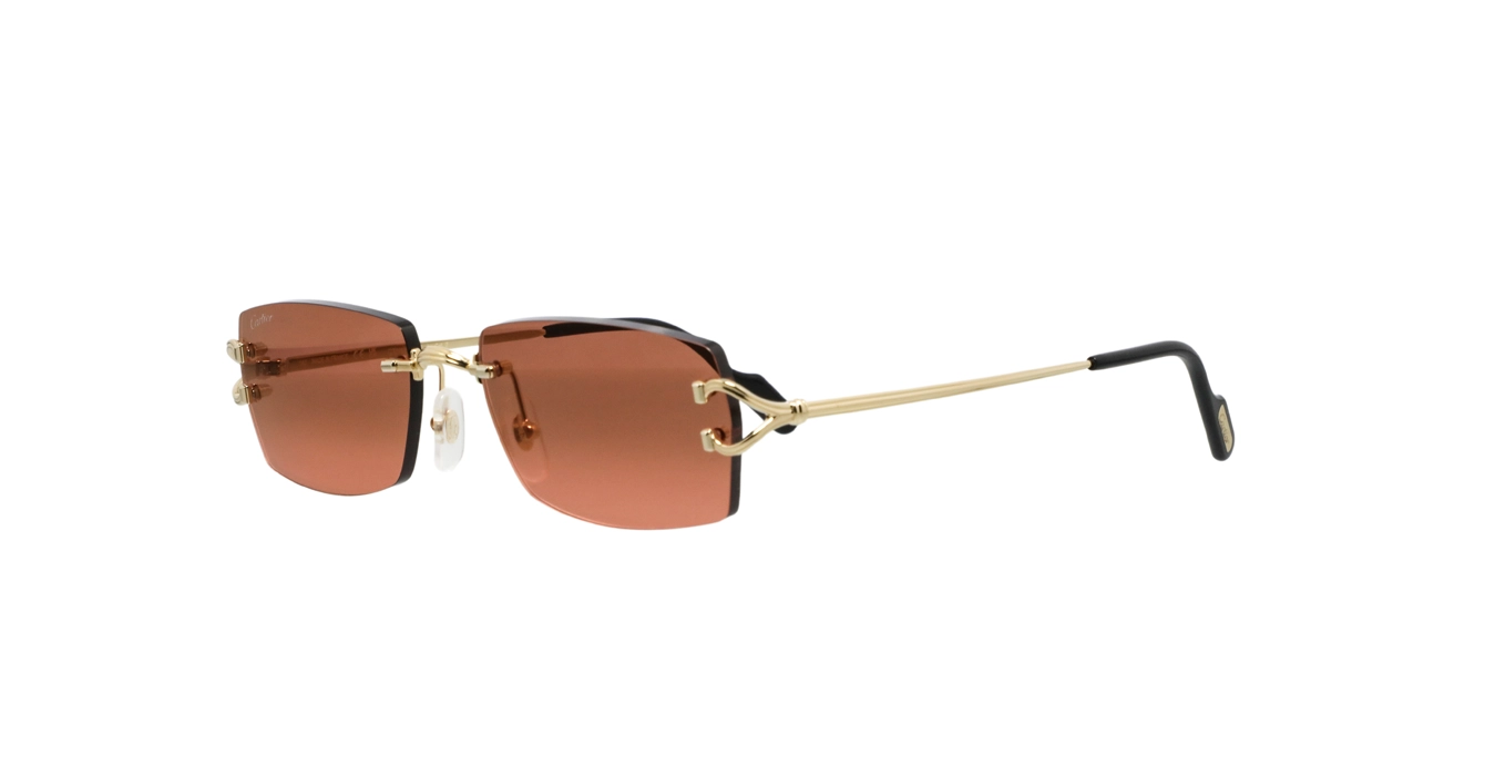 Cartier CT0550S 005 s56