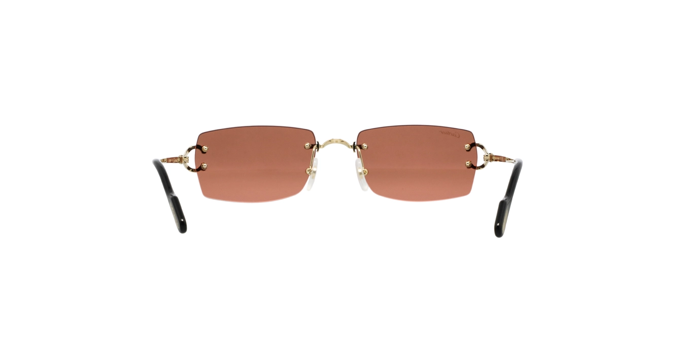 Cartier CT0550S 005 s56