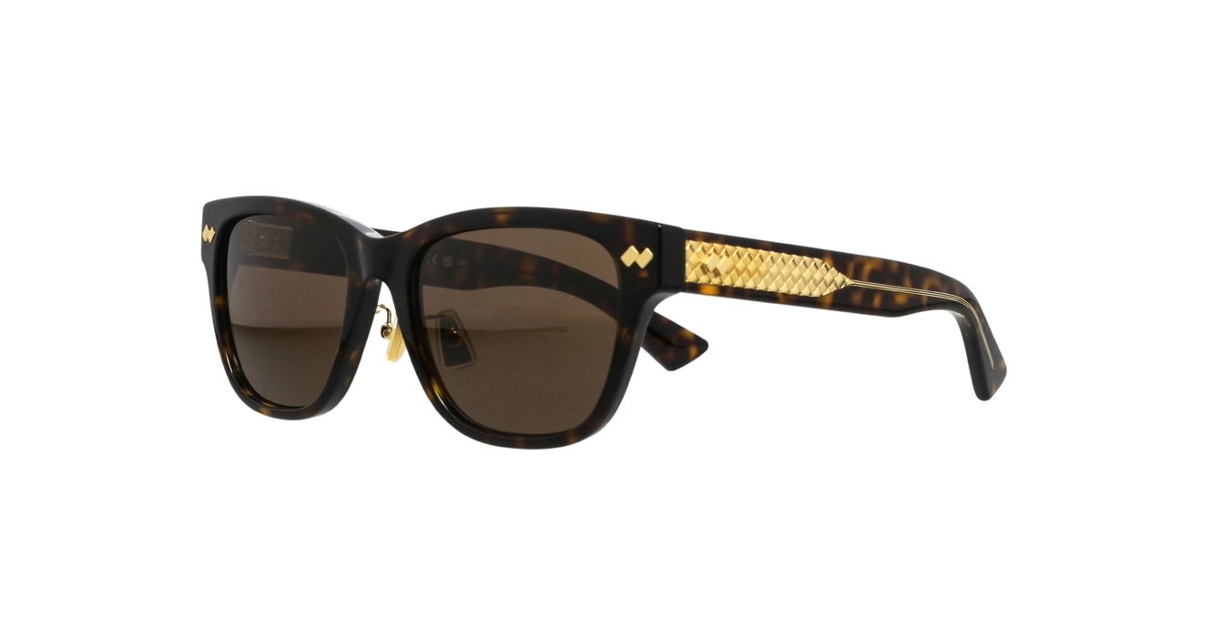 Bottega Veneta BV1402SK 006 s57
