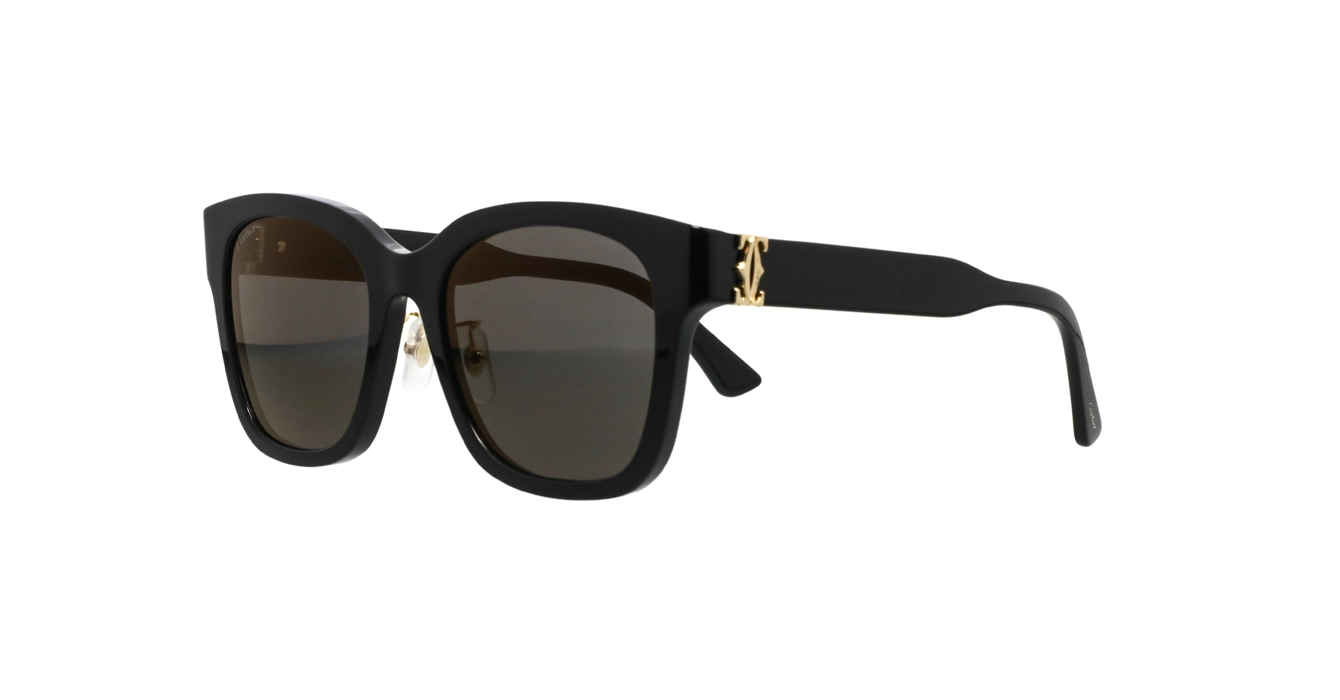 Cartier CT0589SA 001 s54