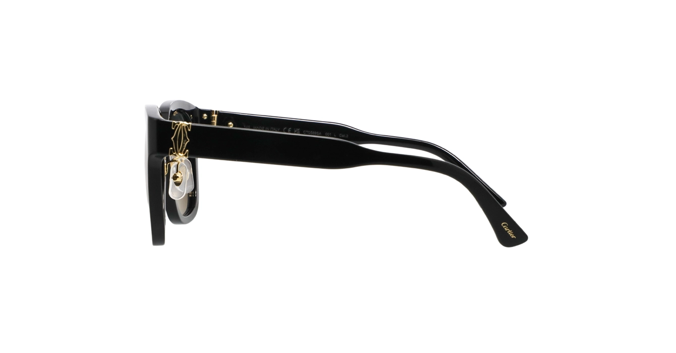 Cartier CT0589SA 001 s54