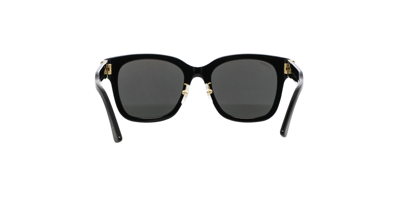 Cartier CT0589SA 001 s54