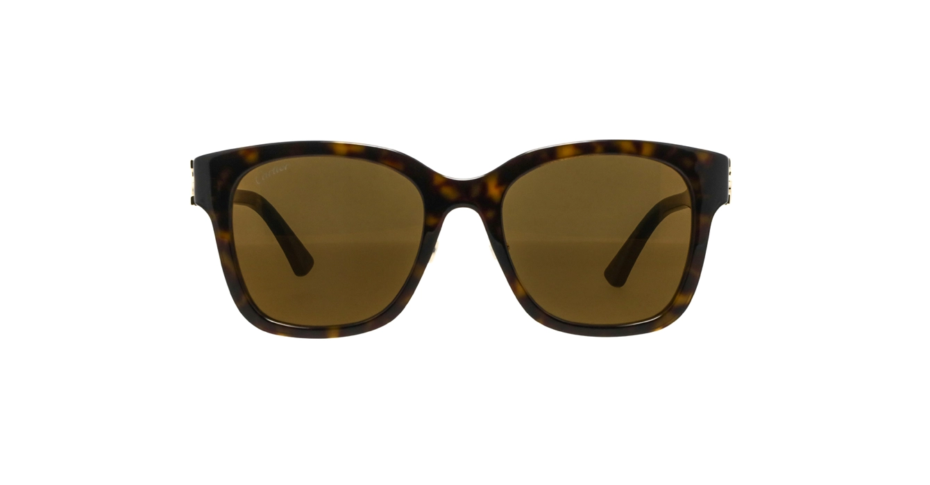 Cartier CT0589SA 002 s54