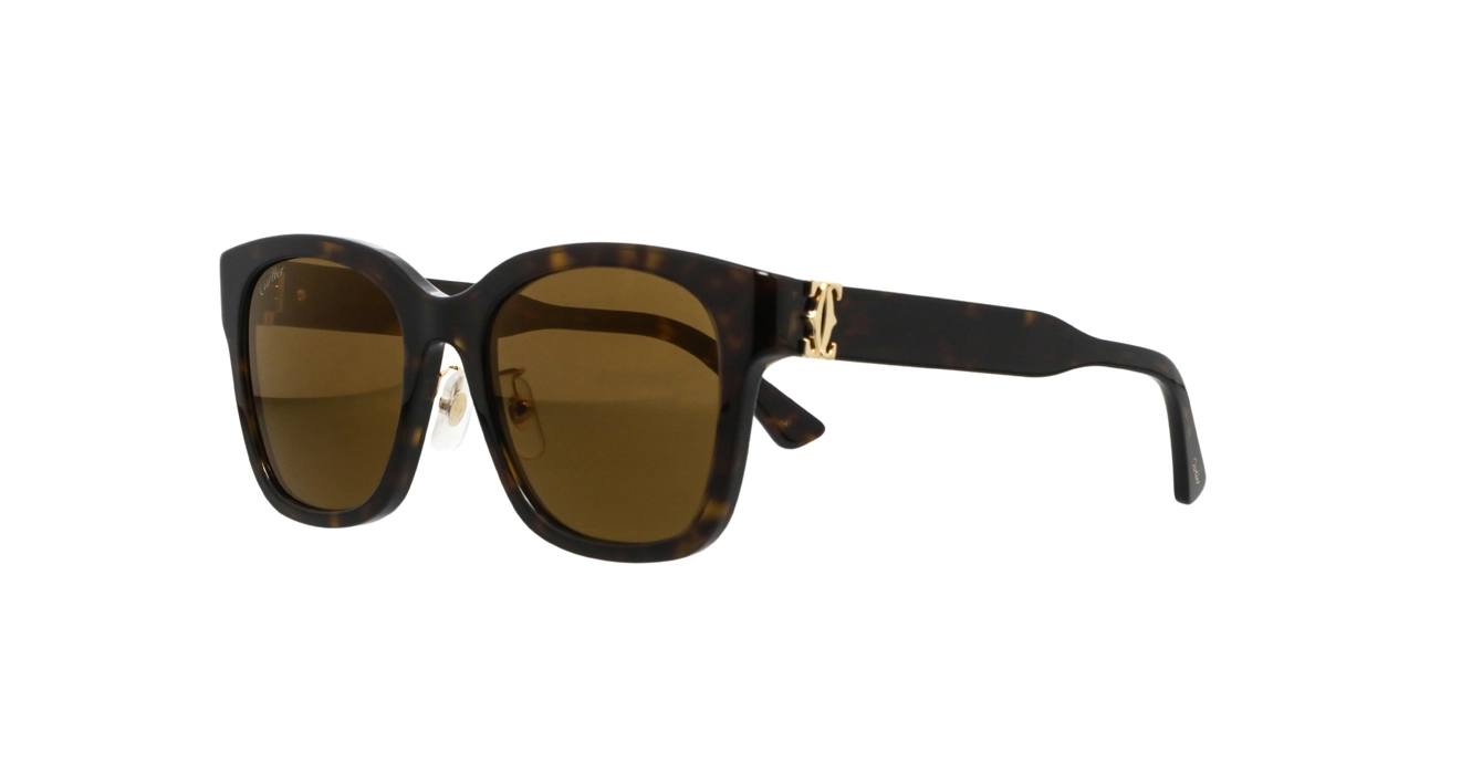Cartier CT0589SA 002 s54