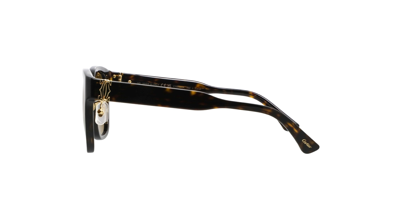 Cartier CT0589SA 002 s54