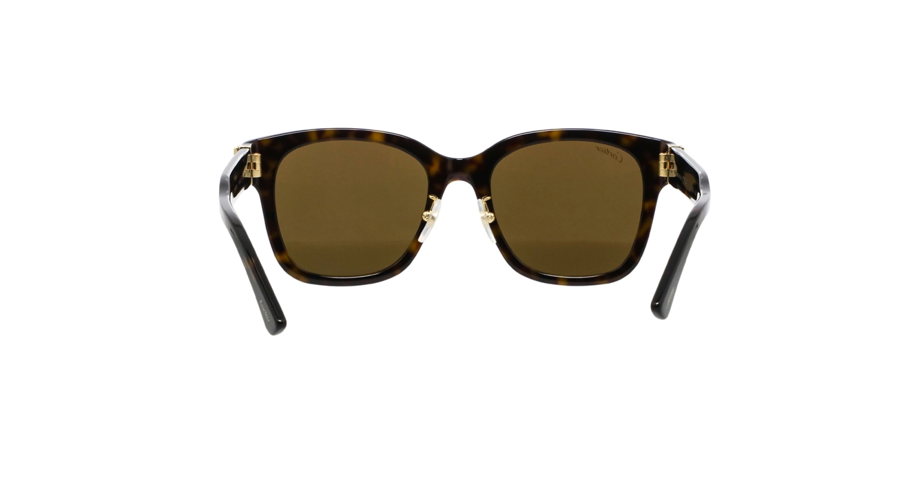 Cartier CT0589SA 002 s54