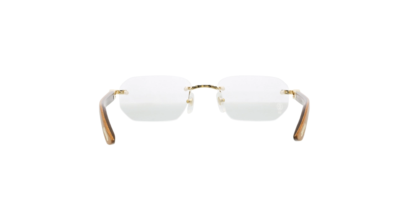 Cartier CT0583O 003 s55