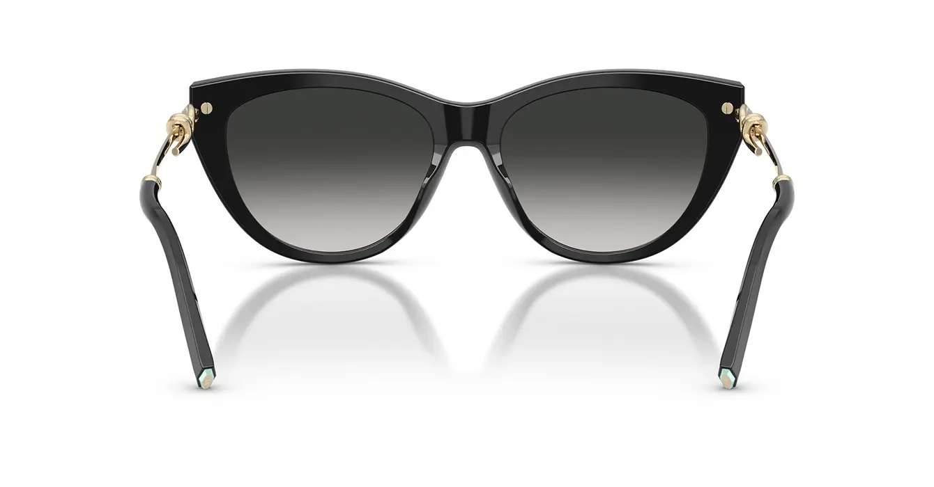 Tiffany&co TF4253-F 8001/3C s55